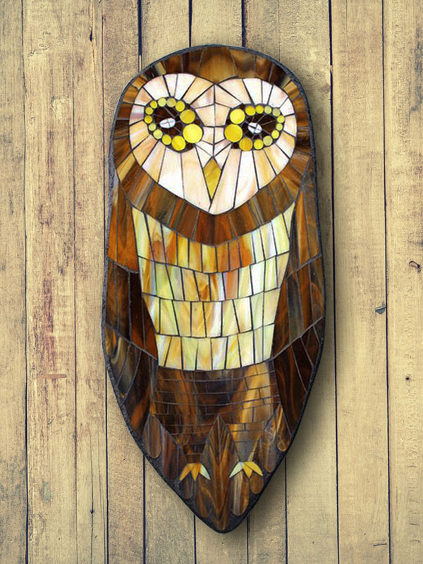 Barn Owl in Camouflage Tights