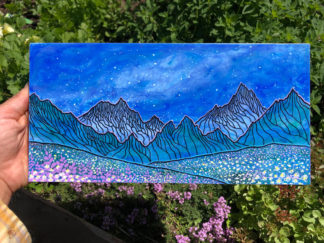 High Country Meadow Under the Stars