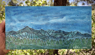 Starry Night Above Pagosa Springs